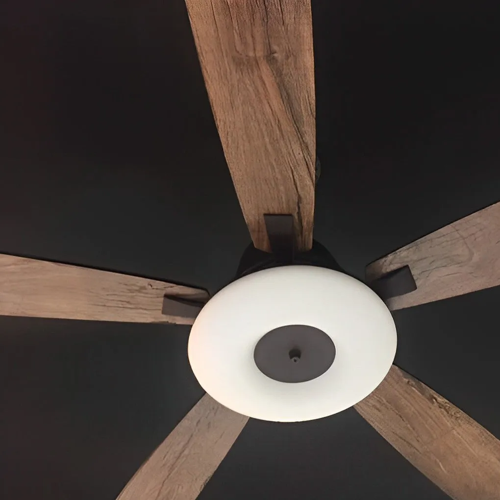 5 Blades Mute Dimmable LED with Remote Creative Nordic Ceiling Fans