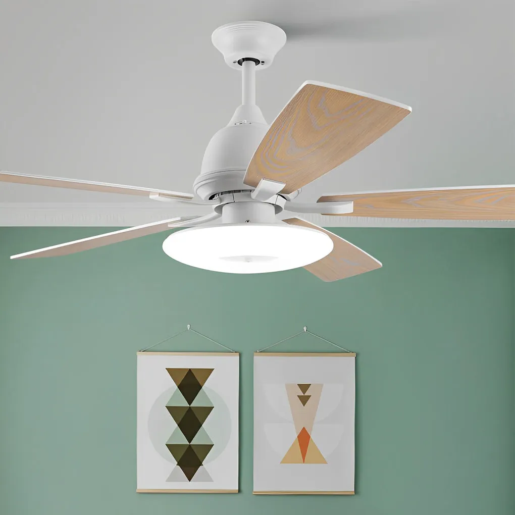 5 Blades Mute Dimmable LED with Remote Creative Nordic Ceiling Fans