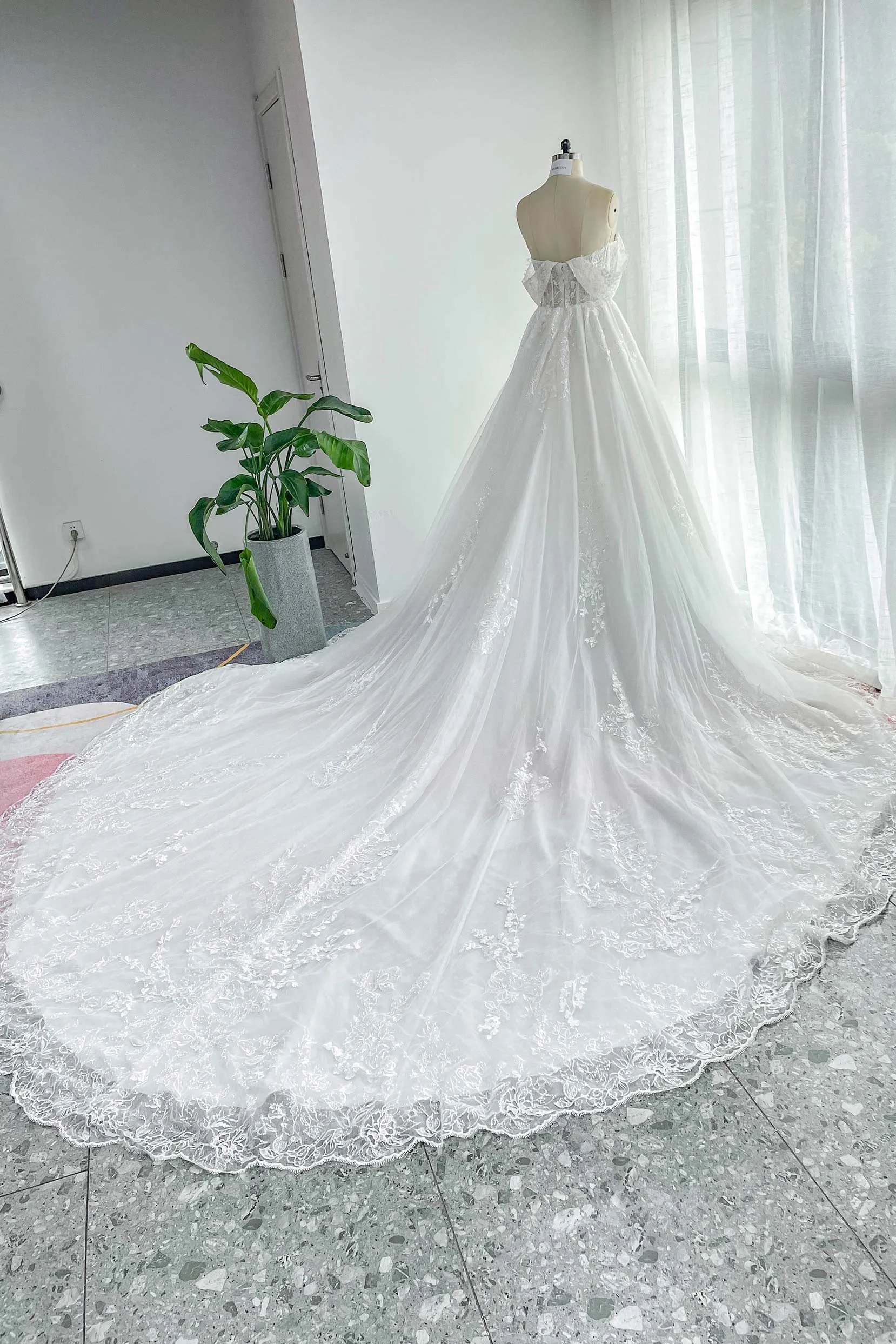 A-Line Cathedral Train Lace Tulle Wedding Dress CW3150