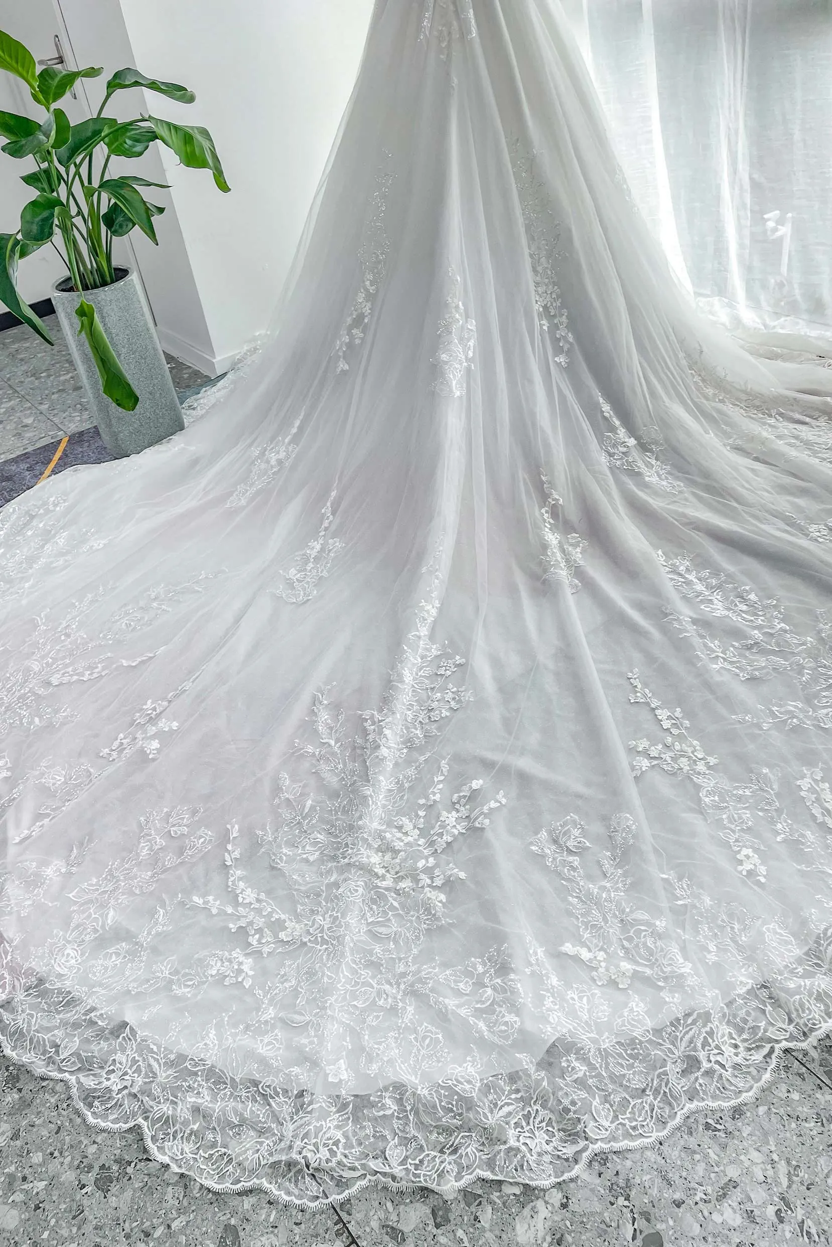 A-Line Cathedral Train Lace Tulle Wedding Dress CW3150