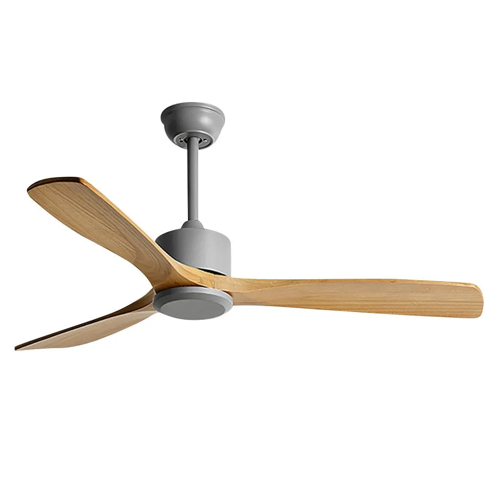 Frequency Conversion, Remote Control, Mute Ceiling Fan with Adjustable Wind Speed