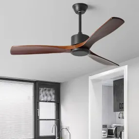 Frequency Conversion, Remote Control, Mute Ceiling Fan with Adjustable Wind Speed